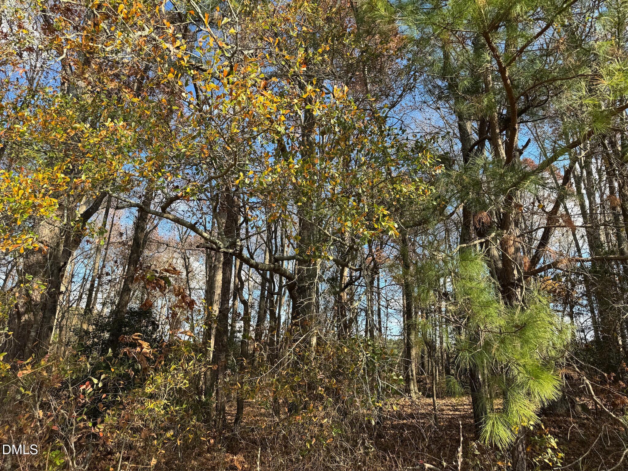 0 Martin Road Zebulon, NC 27597 - Photo 22 of 41 IMG_8715