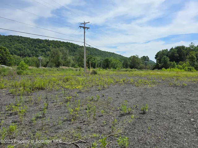 a view of a green field