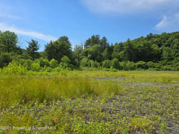 a view of a lake with a garden