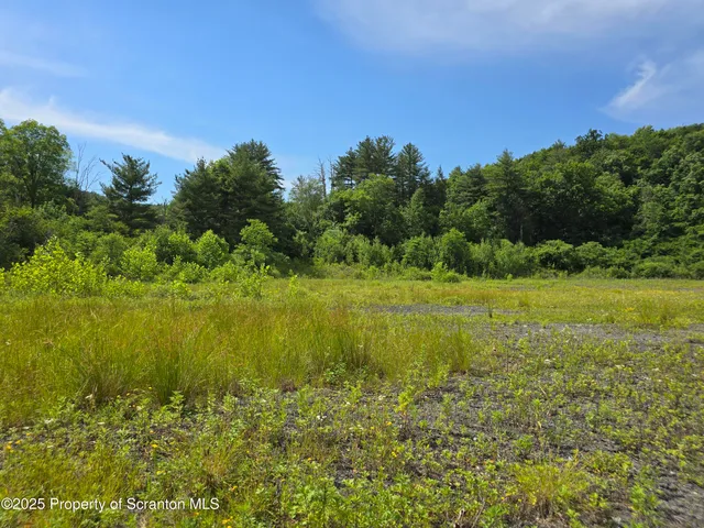 a view of a lake with a garden