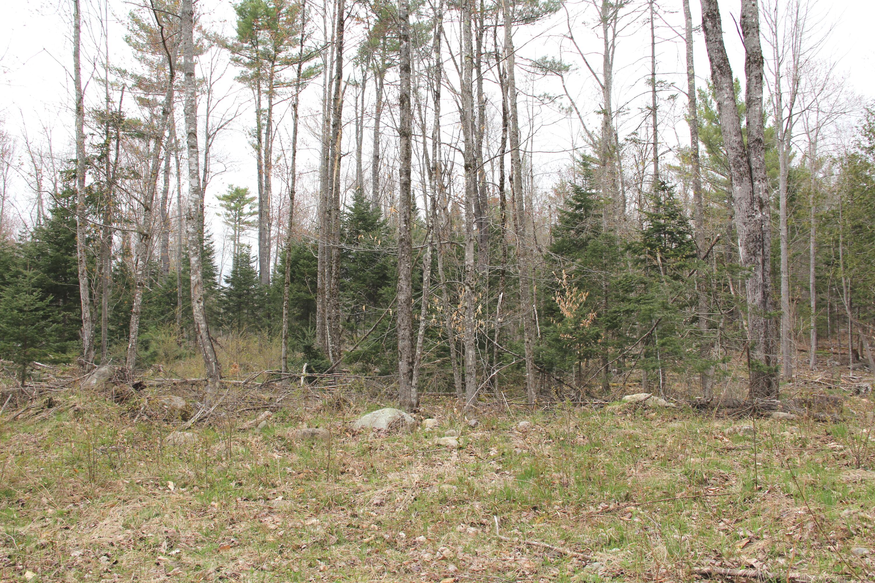 94 Brown Road Harmony, ME 04942 - Photo 7 of 10 IMG_9634