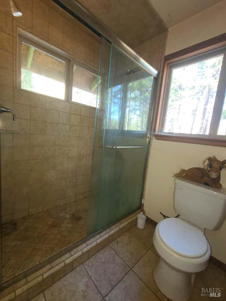 41390 Mendocino Pass Road Covelo, CA 95428 - Photo 13 of 44 a bathroom with a toilet and a shower