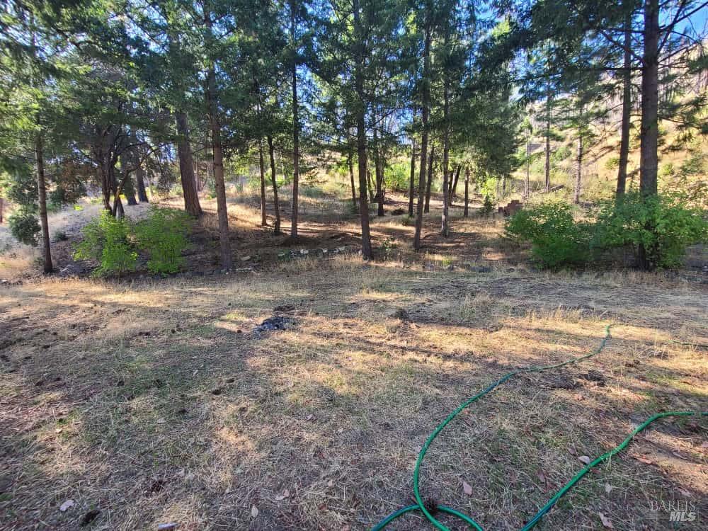 41390 Mendocino Pass Road Covelo, CA 95428 - Photo 3 of 44 a view of backyard with green space