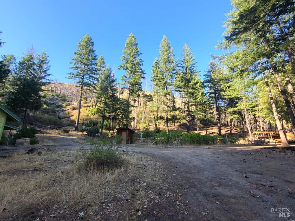 41390 Mendocino Pass Road Covelo, CA 95428 - Photo 33 of 44 a view of a forest with trees