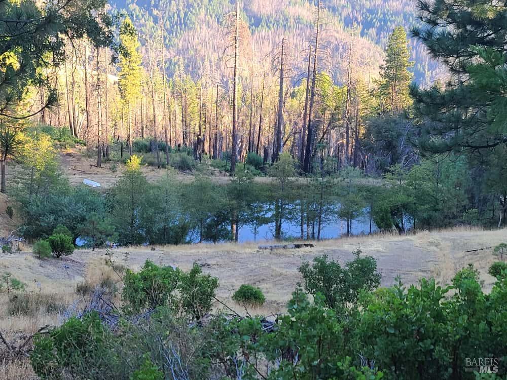 41390 Mendocino Pass Road Covelo, CA 95428 - Photo 34 of 44 a backyard of a house with lots of green space and fountain