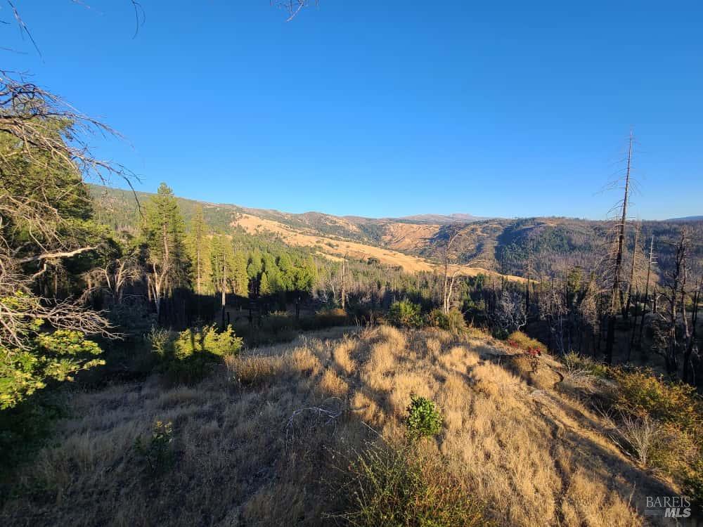 41390 Mendocino Pass Road Covelo, CA 95428 - Photo 38 of 44 a view of a town with mountains in the background