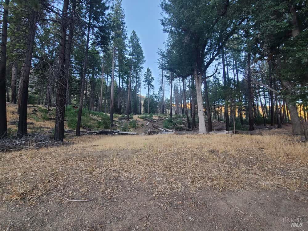 41390 Mendocino Pass Road Covelo, CA 95428 - Photo 41 of 44 a view of outdoor space with lots of trees