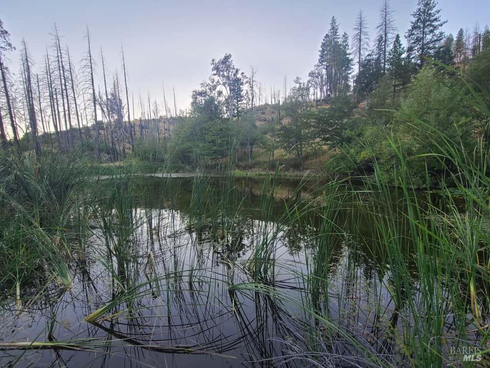 41390 Mendocino Pass Road Covelo, CA 95428 - Photo 42 of 44