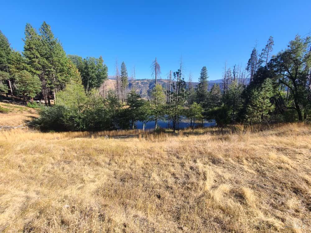 41390 Mendocino Pass Road Covelo, CA 95428 - Photo 5 of 44 a view of a yard with trees