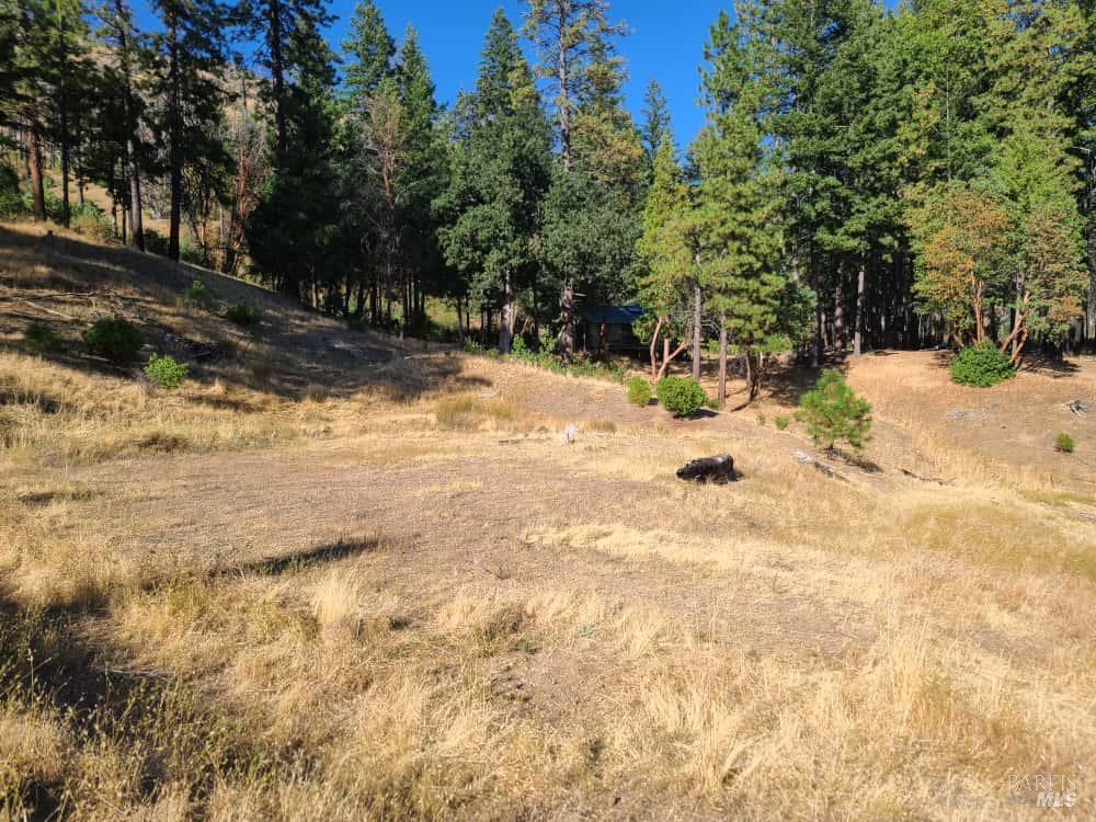 41390 Mendocino Pass Road Covelo, CA 95428 - Photo 6 of 44 a view of ocean view with trees