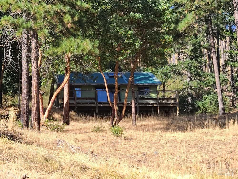 41390 Mendocino Pass Road Covelo, CA 95428 - Photo 8 of 44 a backyard of a house with yard and trampoline