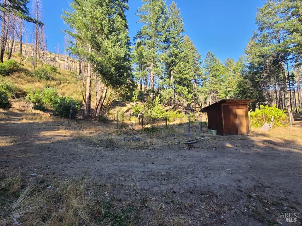 41390 Mendocino Pass Road Covelo, CA 95428 - Photo 9 of 44 a view of a yard with plants and trees