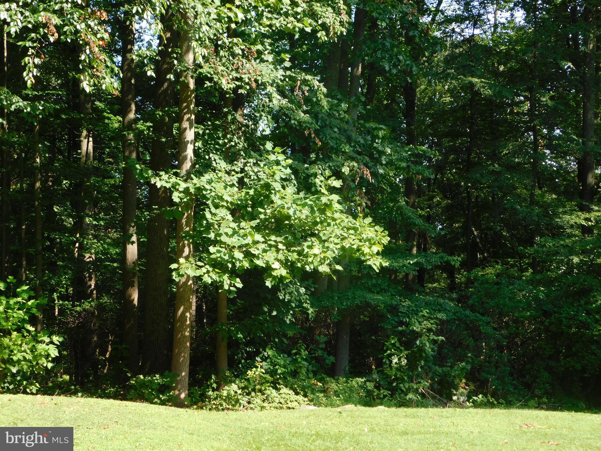 2089 St Peters Road Pottstown, PA 19465 - Photo 7 of 63 Gallery Image 7