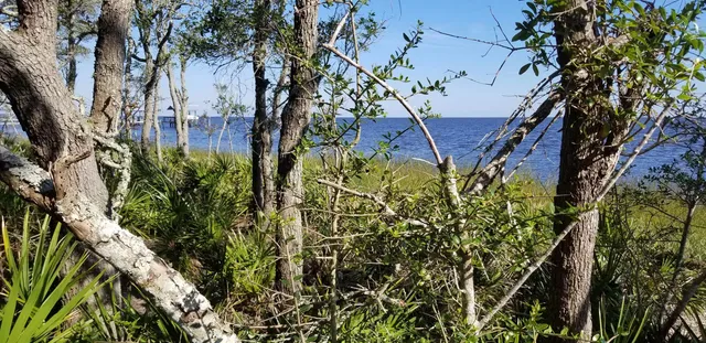 $355,000 | 2738 Hwy 98 East Lanark, Carrabelle, FL 32322