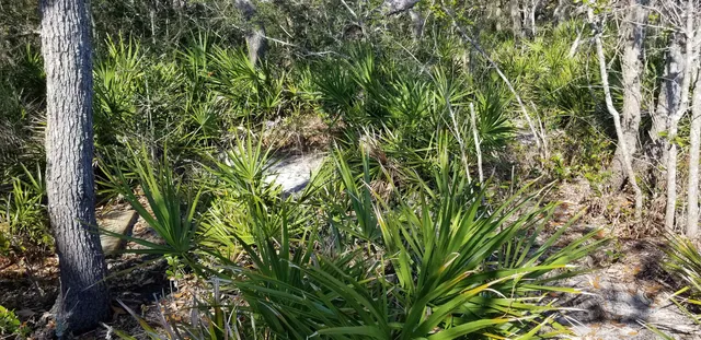 $355,000 | 2738 Hwy 98 East Lanark, Carrabelle, FL 32322