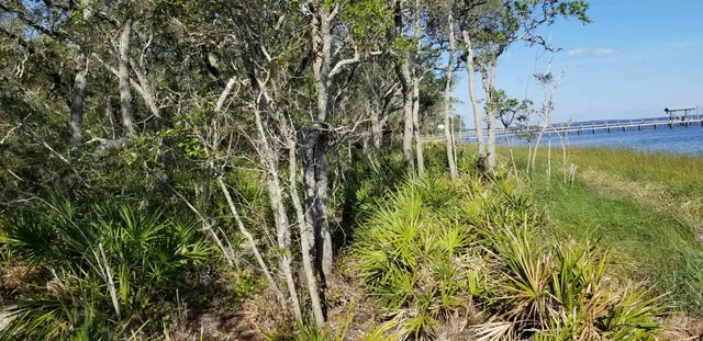 $355,000 | 2738 Hwy 98 East Lanark, Carrabelle, FL 32322