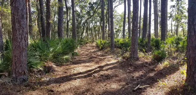 $355,000 | 2738 Hwy 98 East Lanark, Carrabelle, FL 32322