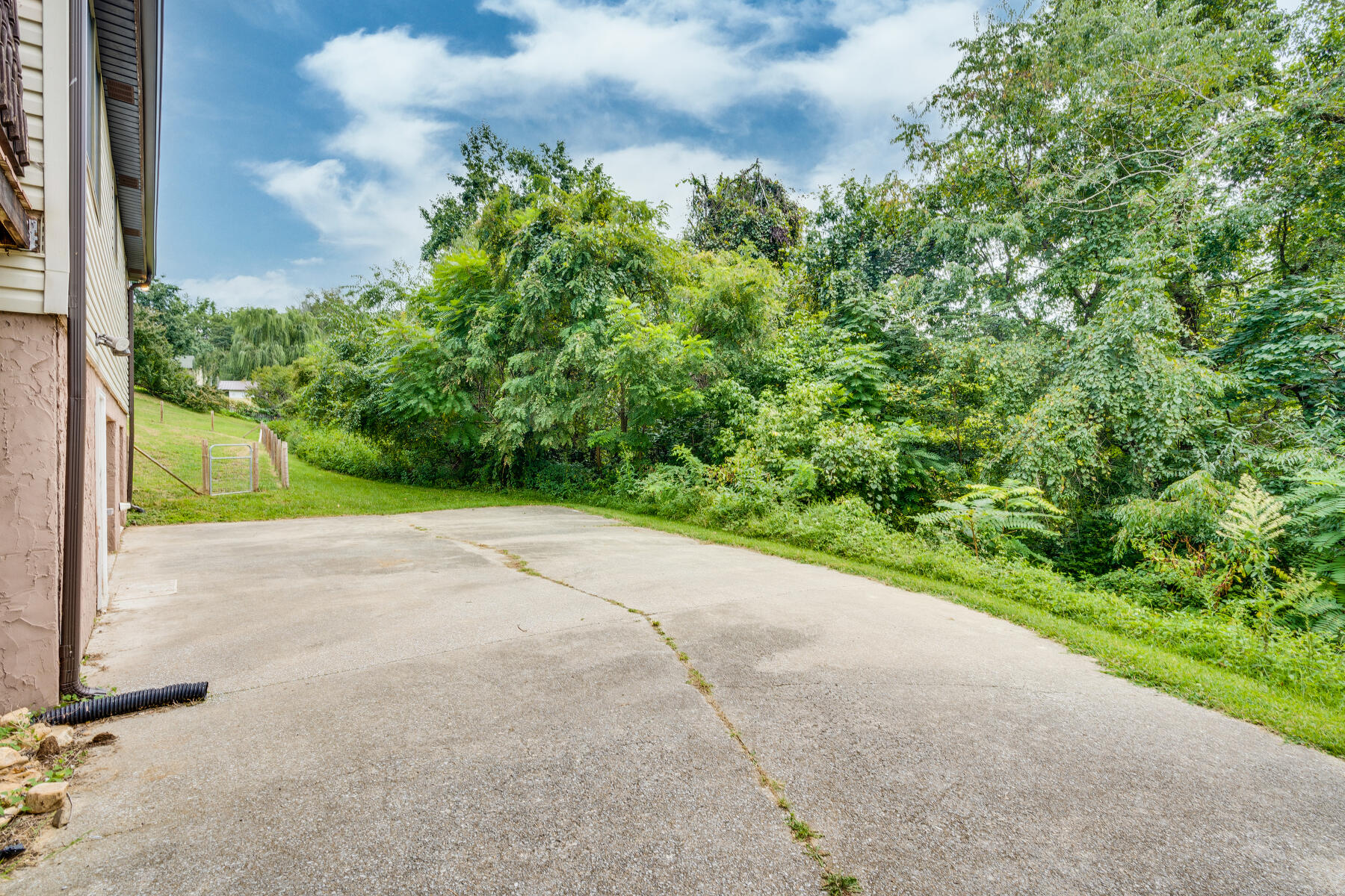 191 Maple Tree Lane Watauga, TN 37694 - Photo 40 of 50 191 Maple Tree Ln