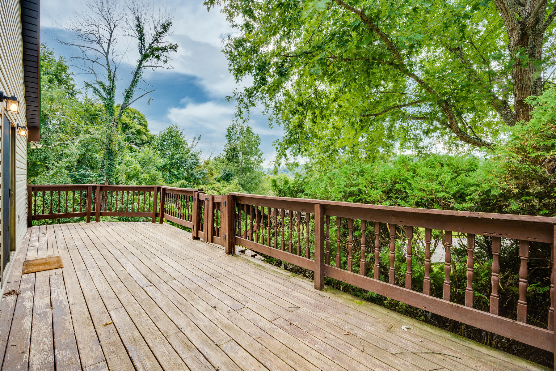 191 Maple Tree Lane Watauga, TN 37694 - Photo 6 of 50 191 Maple Tree Ln
