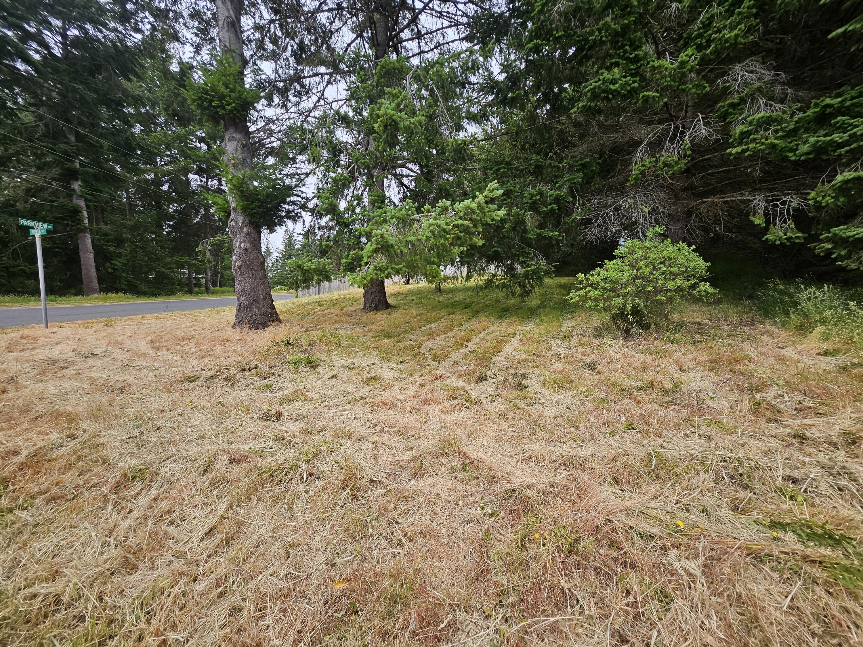 299 Vista Road Shelter Cove, CA 95589 - Photo 7 of 12