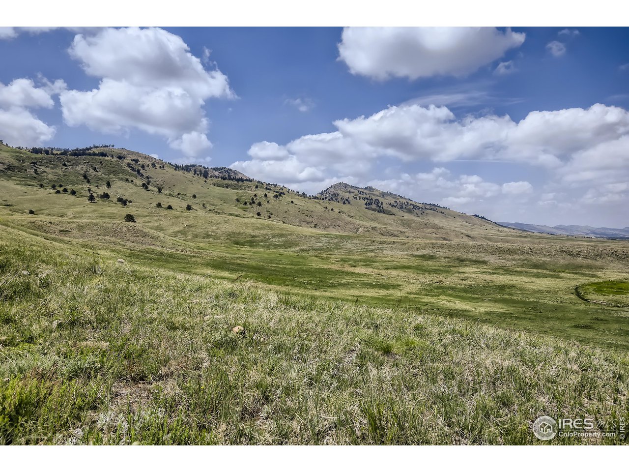 5136 Ralston Street Boulder, CO 80304 - Photo 32 of 38