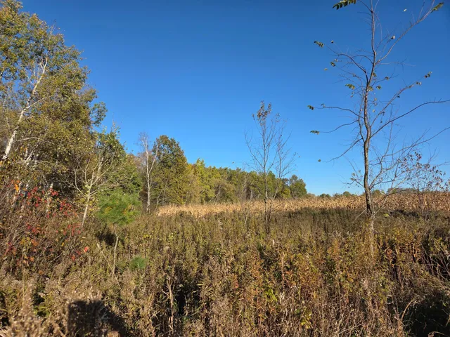 $269,000 | 48 & Highway, Rice Lake, WI 54868