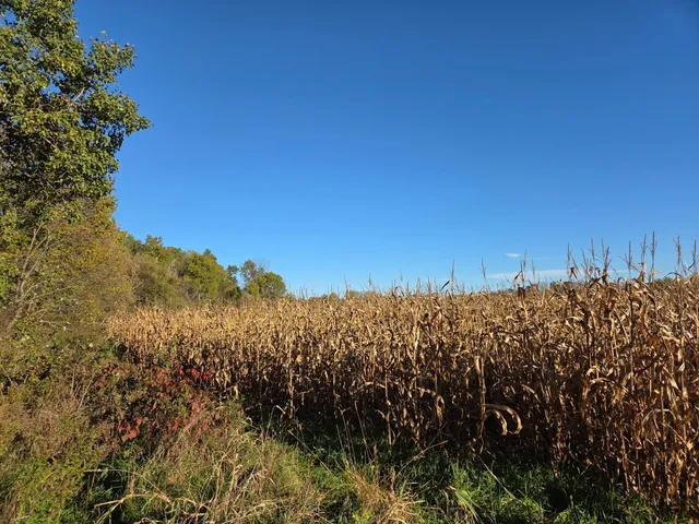 $269,000 | 48 & Highway, Rice Lake, WI 54868