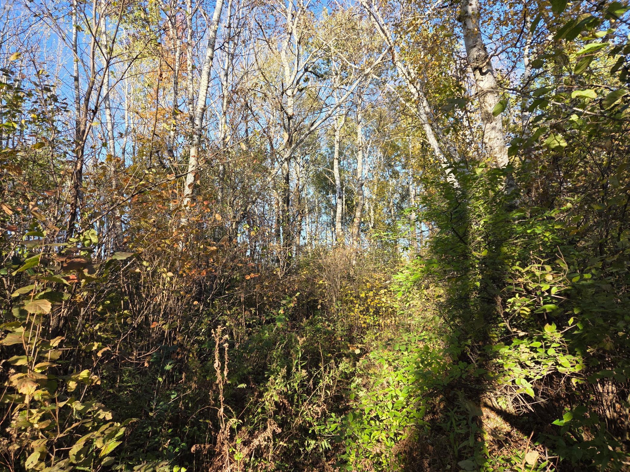 48 & Highway Rice Lake, WI 54868 - Photo 3 of 6