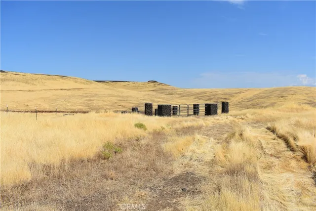 a view of a dry yard with wooden fence