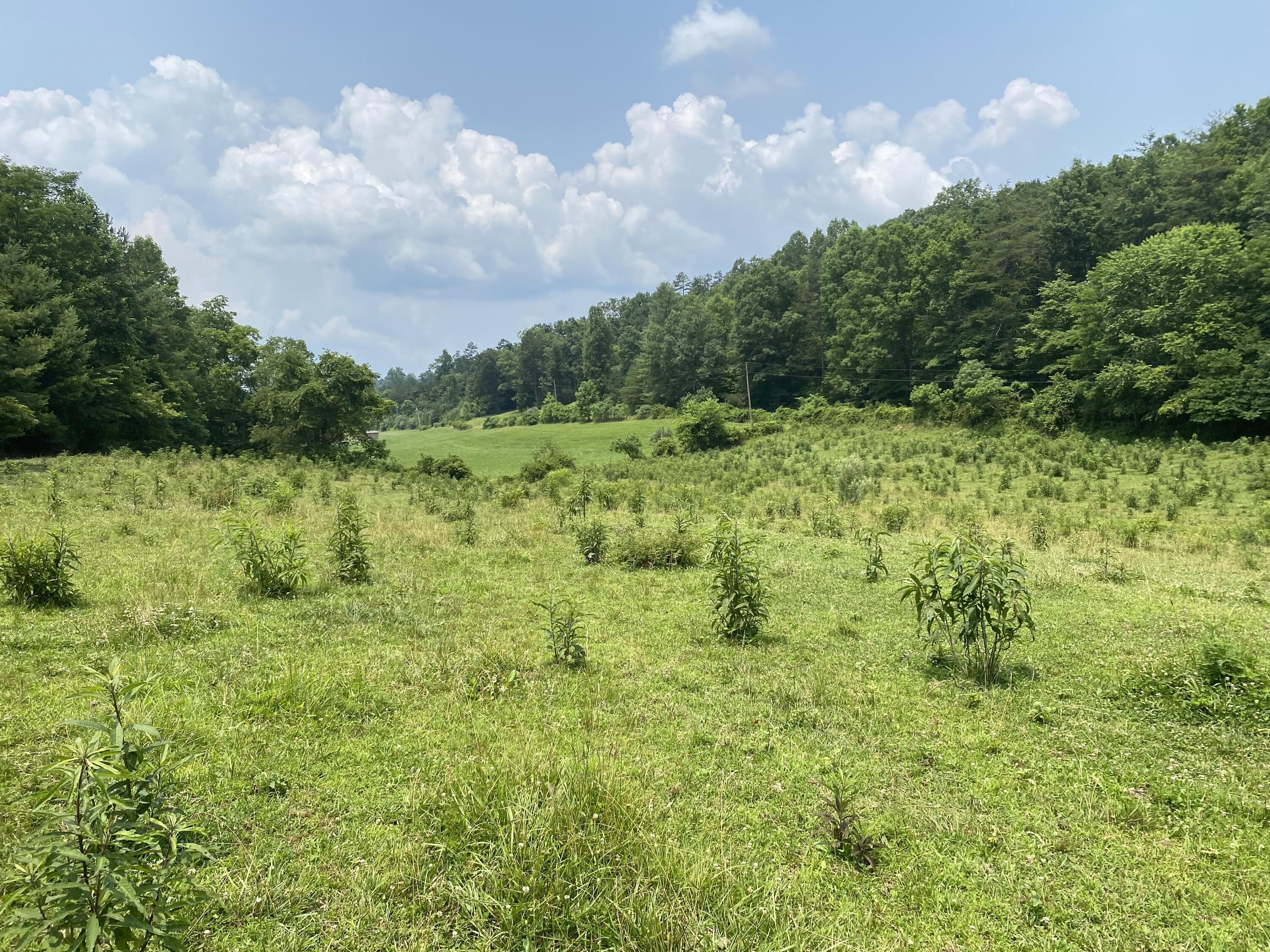 9999 Jim Brown Road Campton, KY 41301 - Photo 26 of 28 IMG_4796