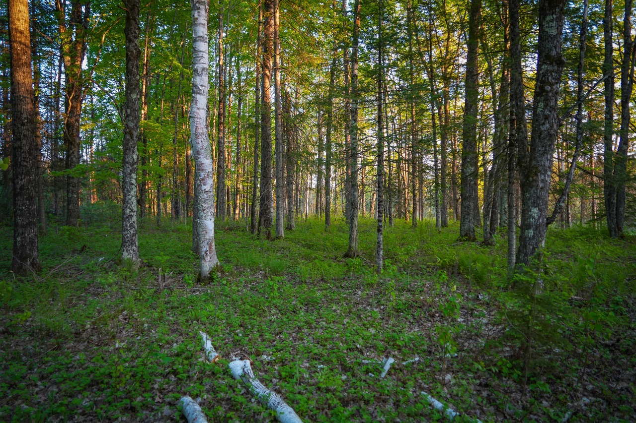 V/l V/l 33rd Road Gladstone, MI 49837 - Photo 64 of 70