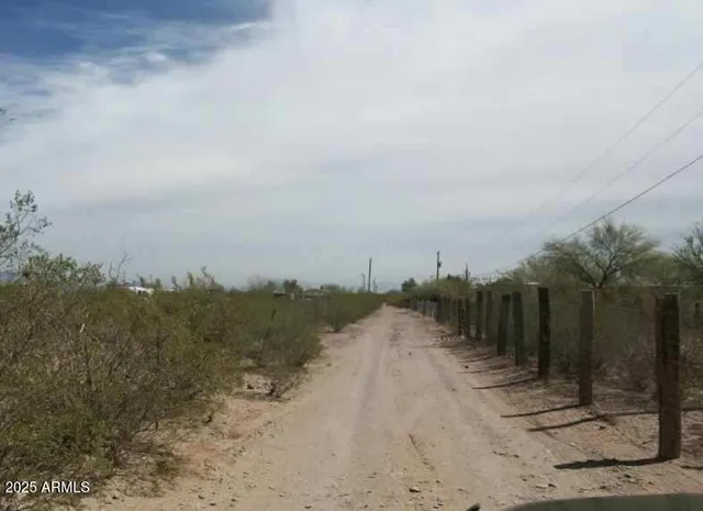 a view of a dry yard with trees in the background