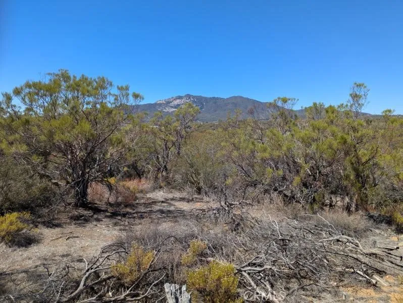 0 Pony Anza, CA 92539 - Photo 16 of 23