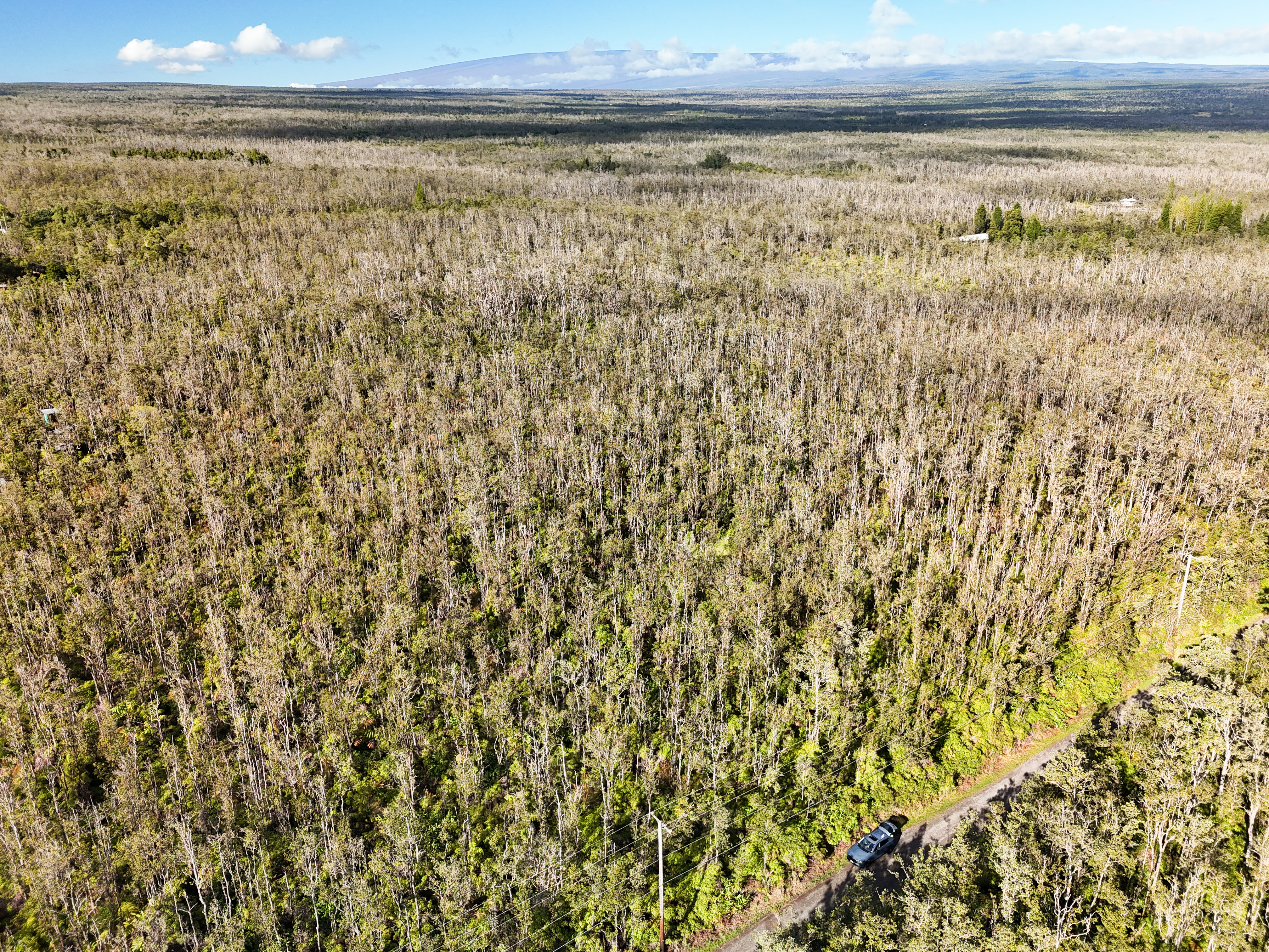41 Uluhemalu Road Mountain View, HI 96771 - Photo 15 of 16 a view of a pathway next to a yard