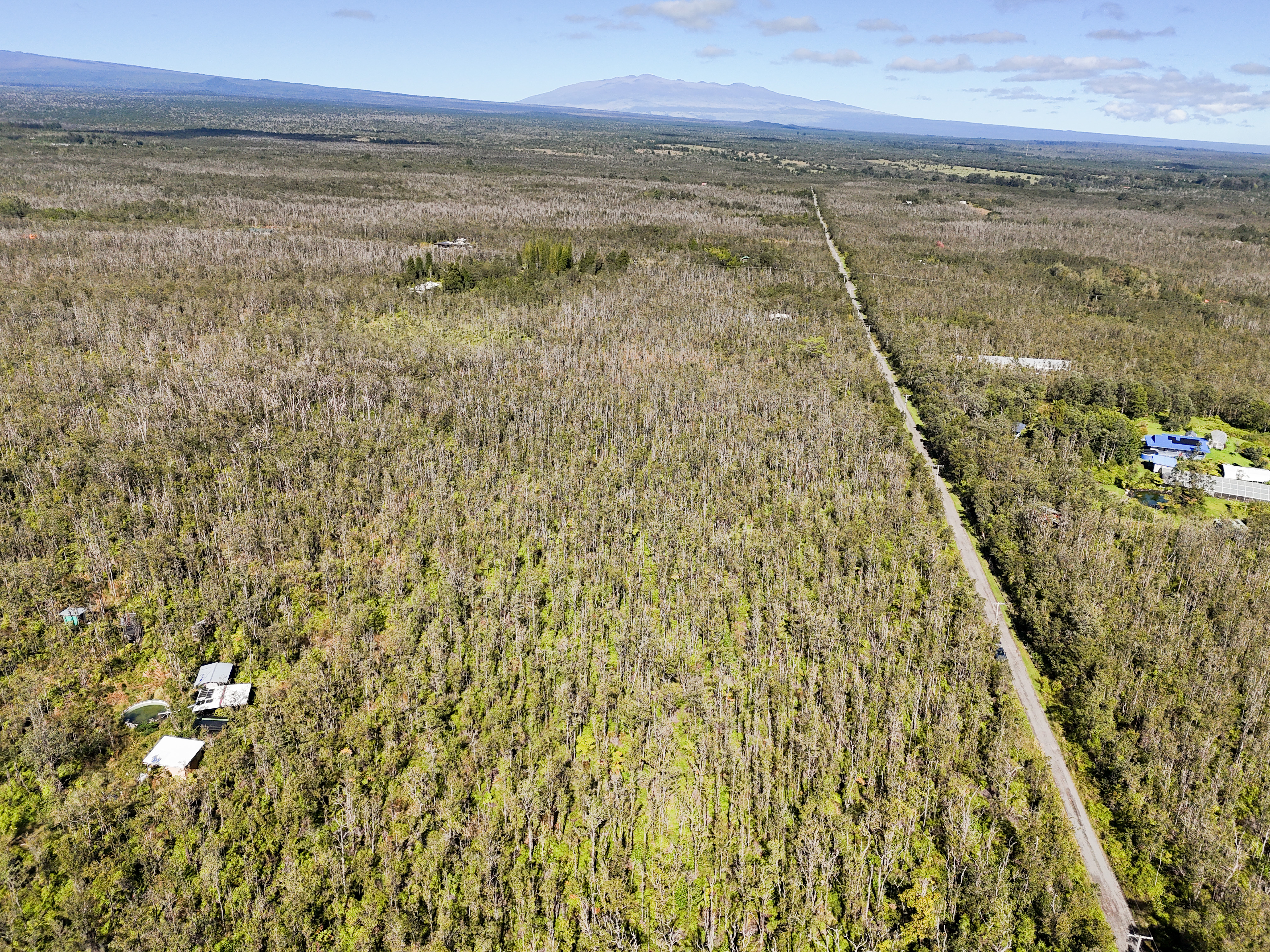 41 Uluhemalu Road Mountain View, HI 96771 - Photo 2 of 16 a view of an ocean