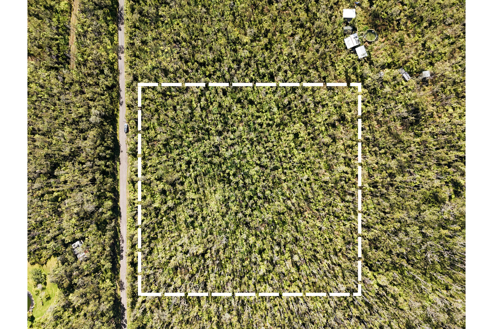 41 Uluhemalu Road Mountain View, HI 96771 - Photo 3 of 16 a close up of a shower