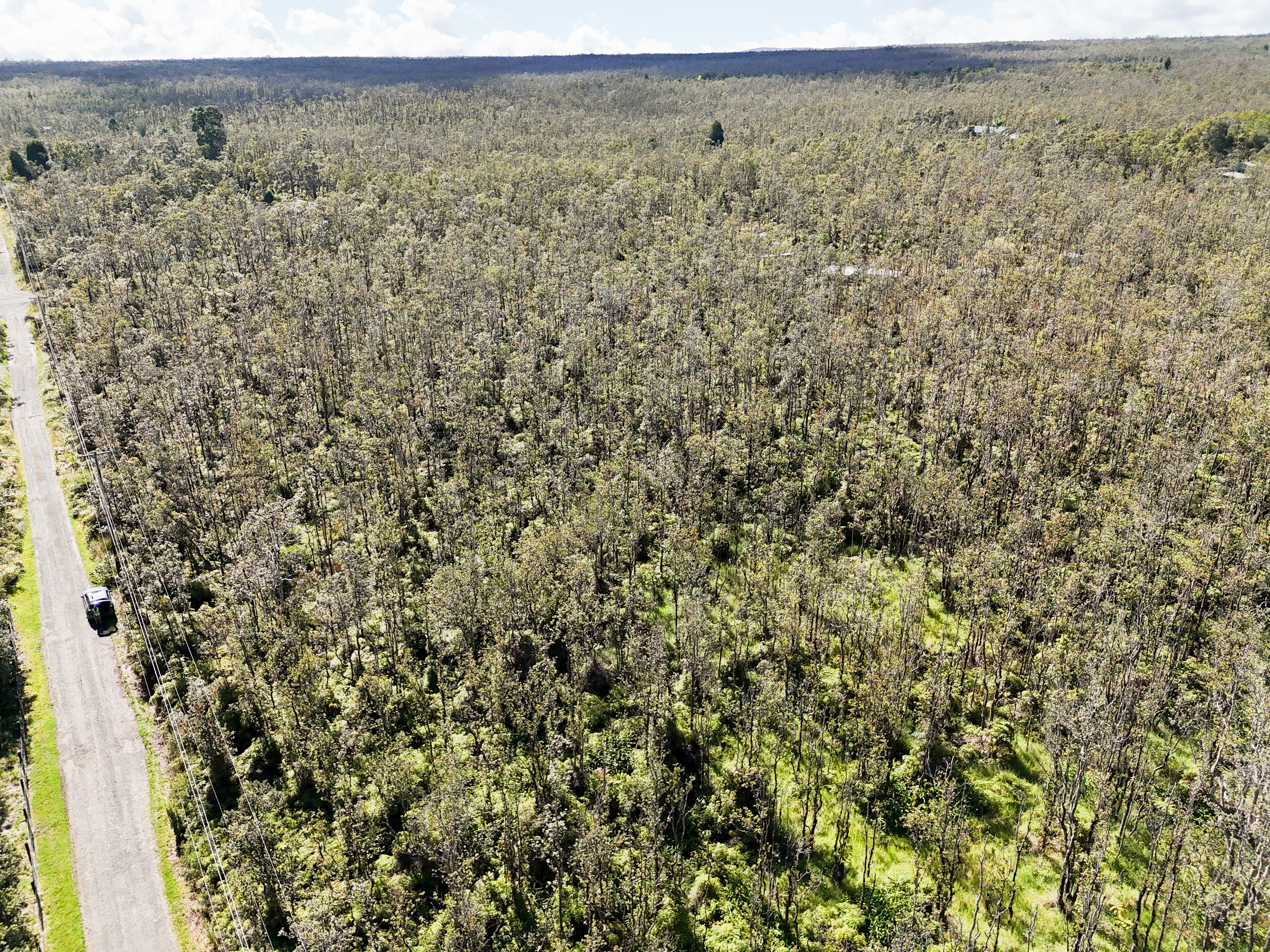41 Uluhemalu Road Mountain View, HI 96771 - Photo 9 of 16 a view of a dry yard with wooden floor and fence
