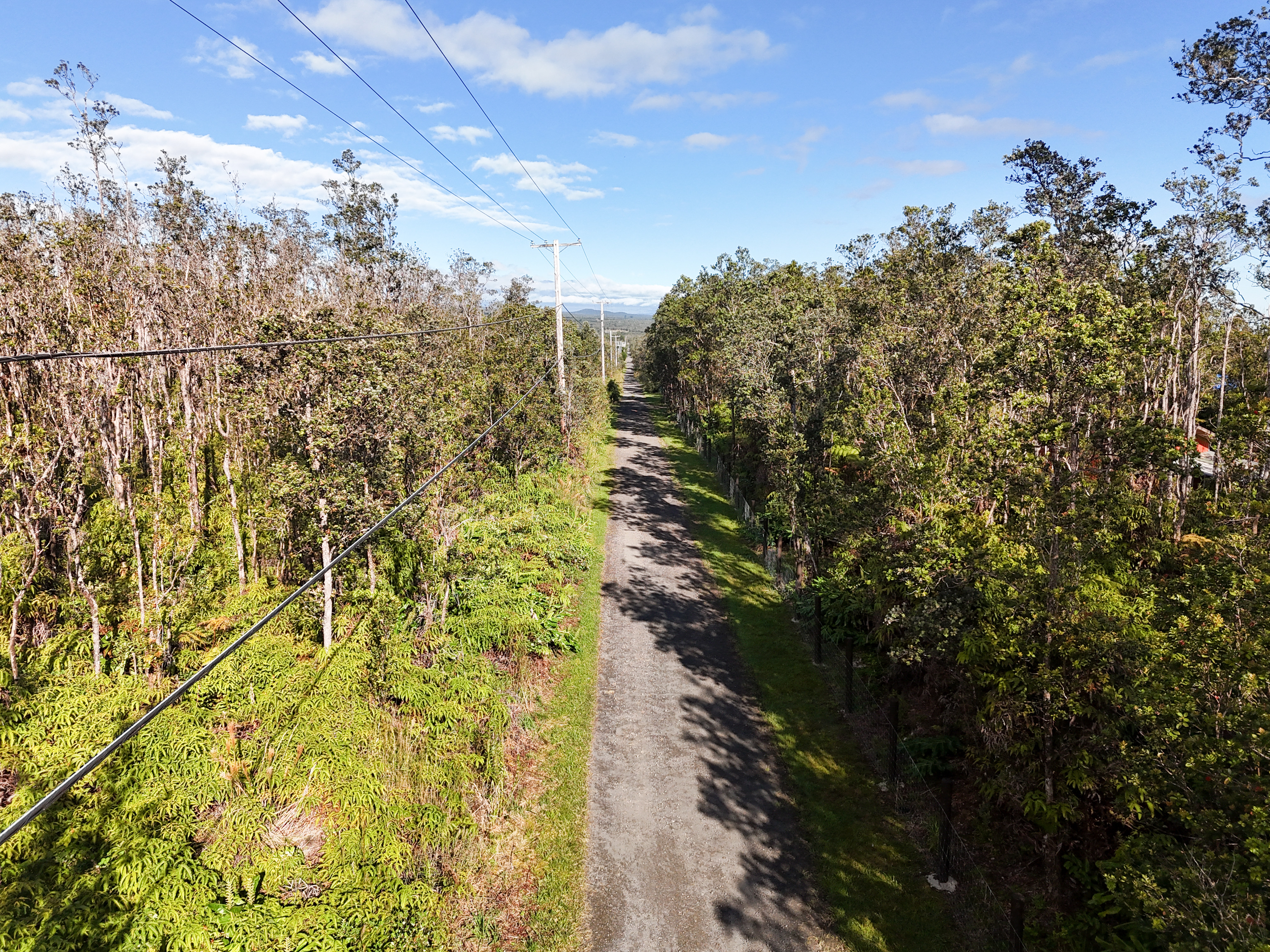 41 Uluhemalu Road Mountain View, HI 96771 - Photo 10 of 16 a view of a yard