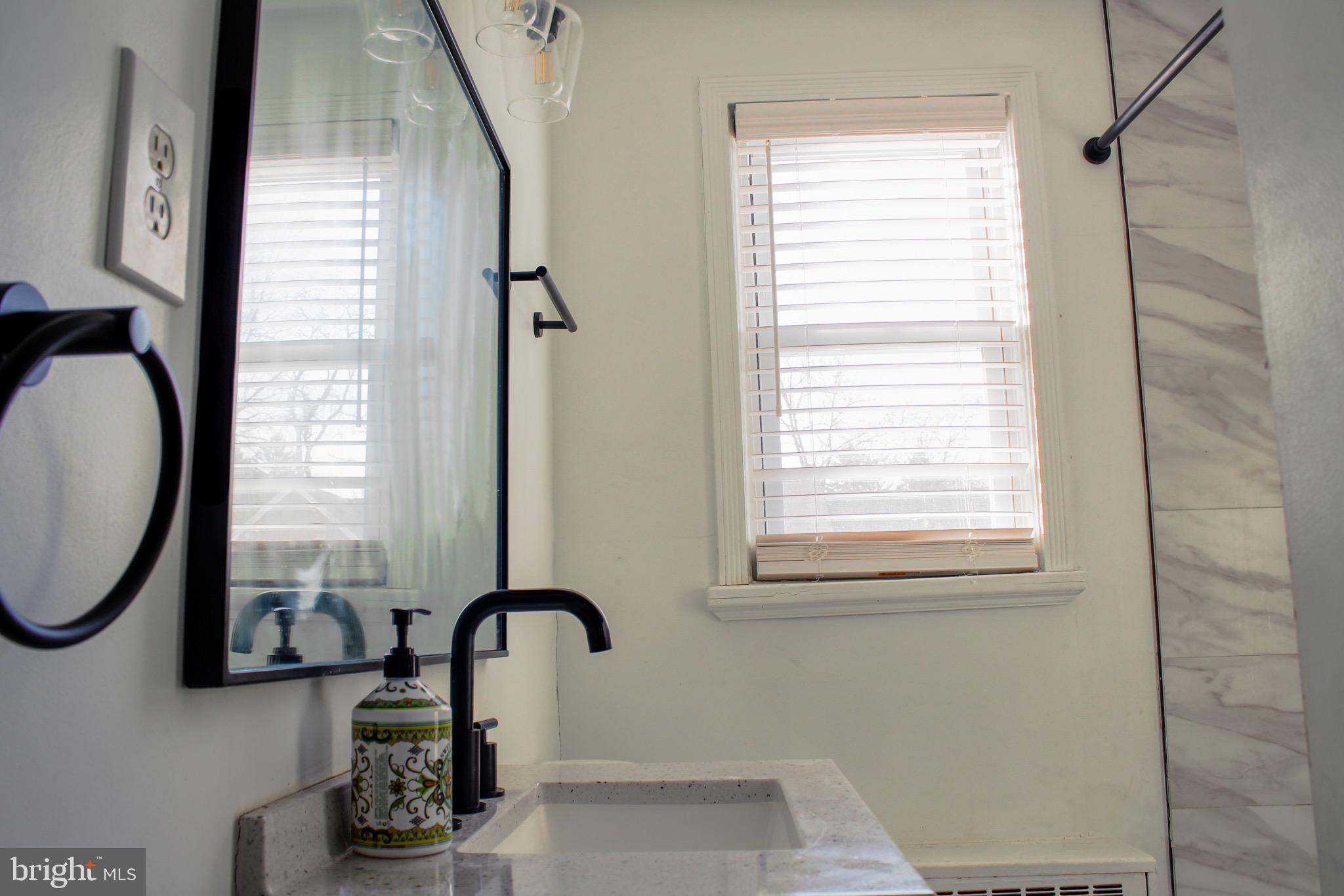 6161 Parkway Drive, Unit 2 Baltimore, MD 21212 - Photo 24 of 24 a bathroom with a sink and a mirror