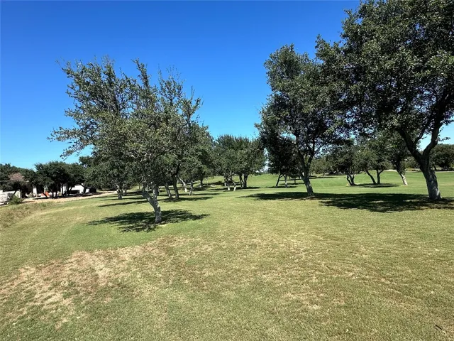 a view of a park with large trees