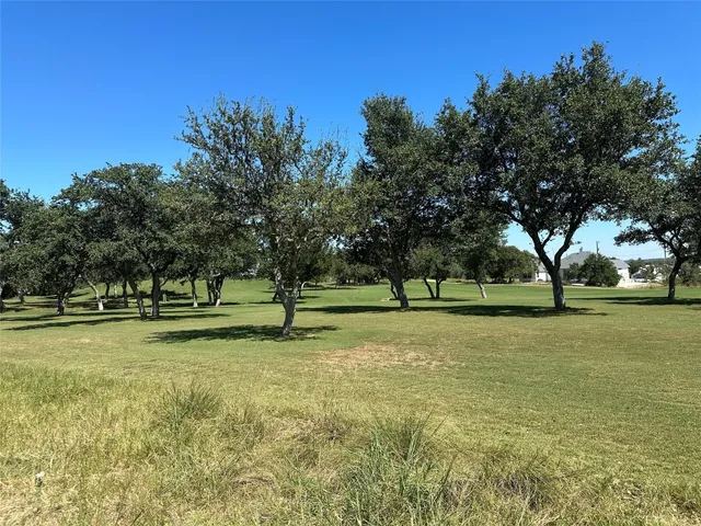a view of a trees in a park