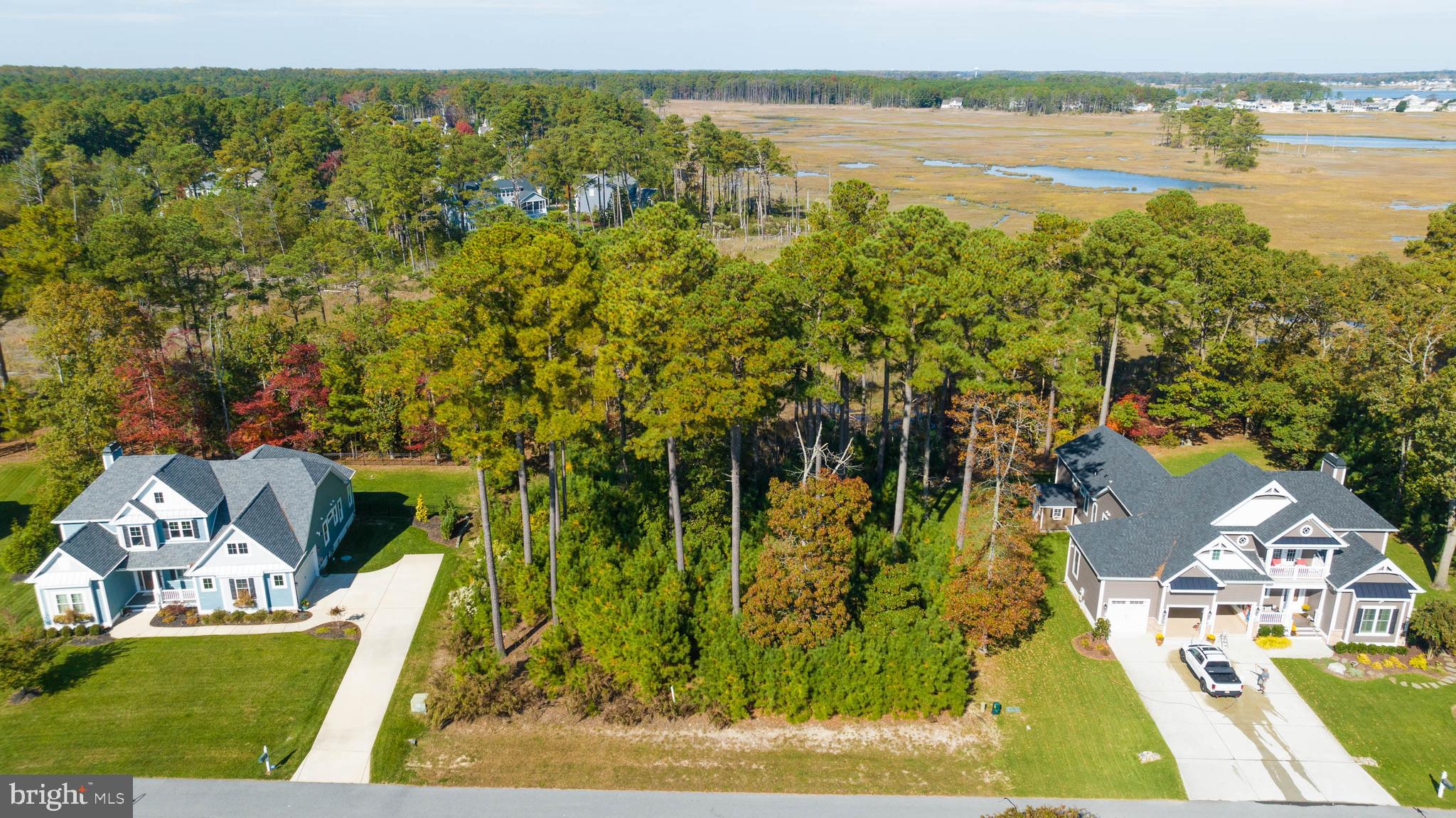 31896 Shell Landing Way Lewes, DE 19958 - Photo 2 of 26 a view of lake view
