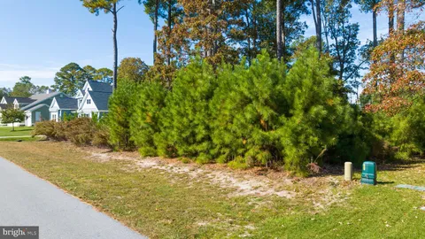 a view of a yard with an trees