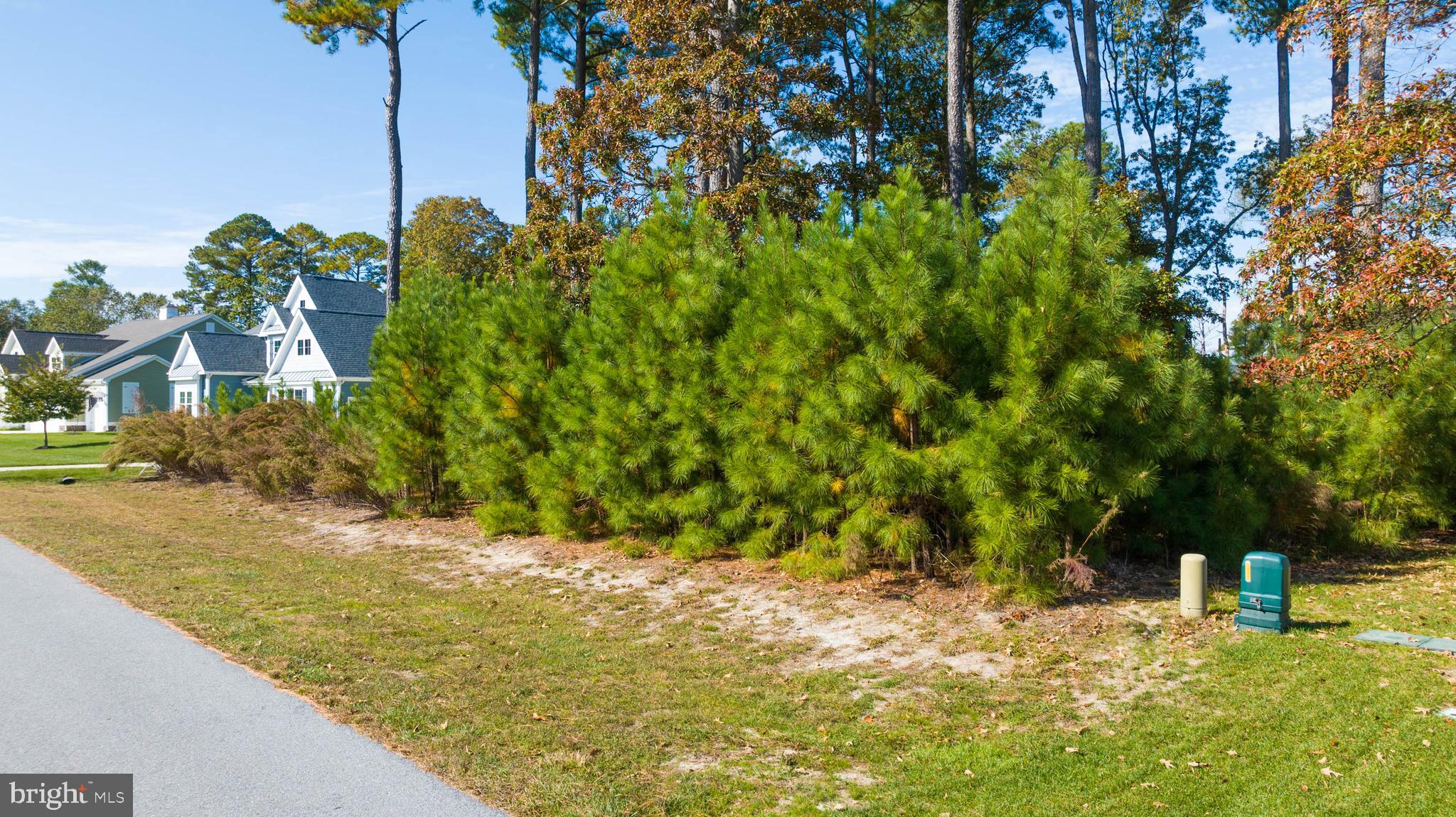31896 Shell Landing Way Lewes, DE 19958 - Photo 4 of 26 a view of a yard with an trees