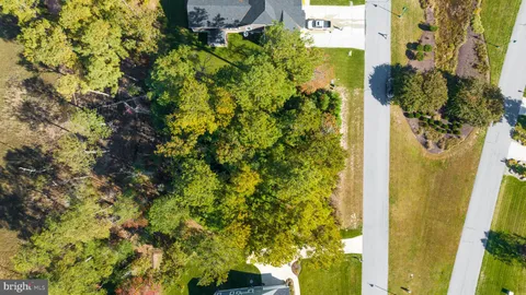 a view of a bunch of flowers