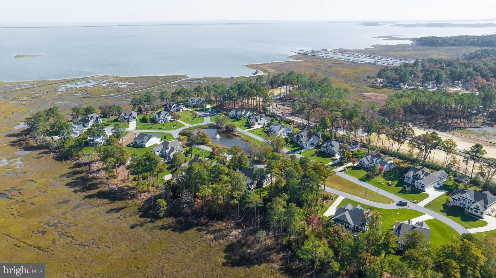 31896 Shell Landing Way Lewes, DE 19958 - Photo 10 of 26 a view of a city with mountains in the background