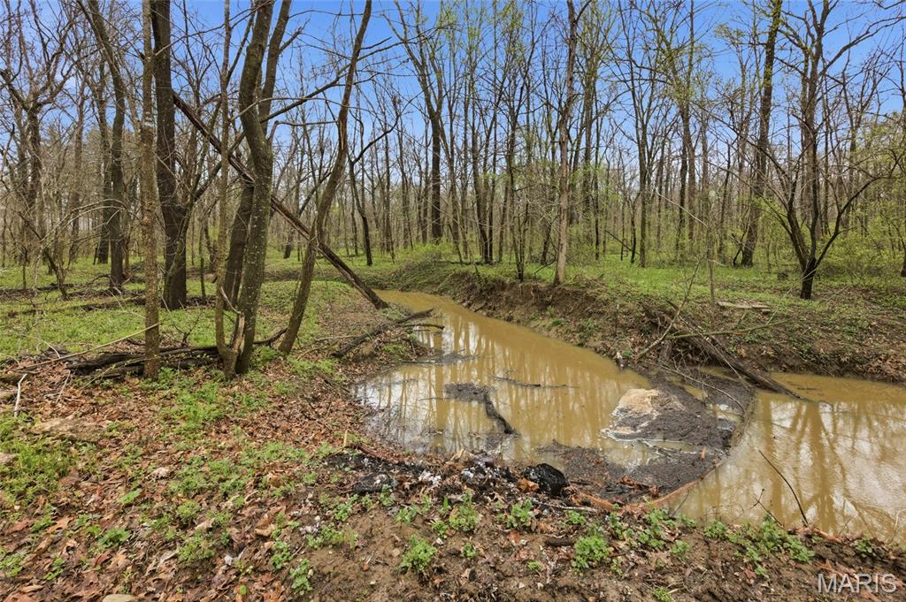 284 White Road Montgomery City, MO 63361 - Photo 54 of 60