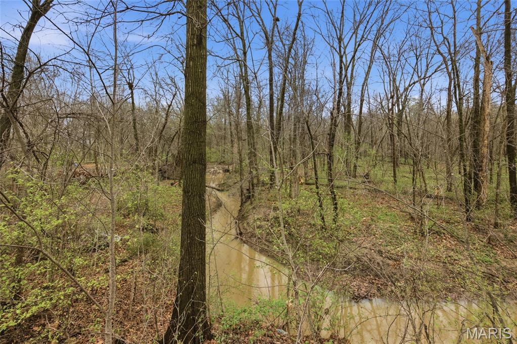 284 White Road Montgomery City, MO 63361 - Photo 58 of 60