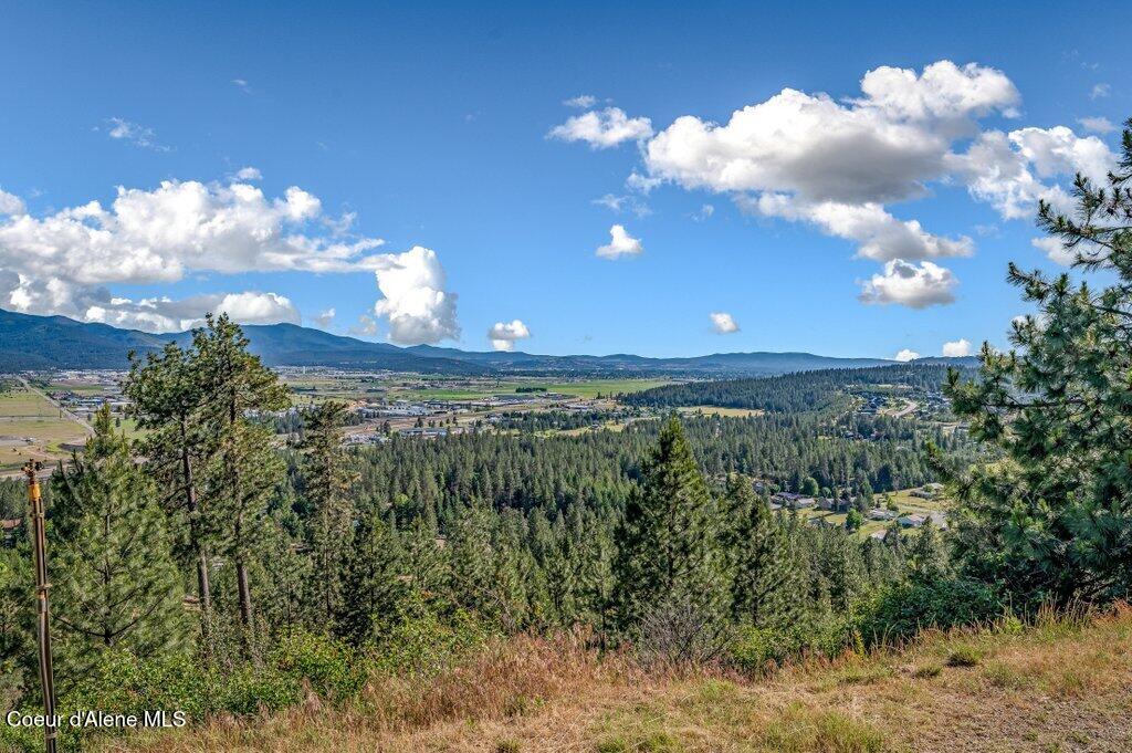 10715 North Payment Peak Road Post Falls, ID 83854 - Photo 79 of 118 --80.jpg-SMALL