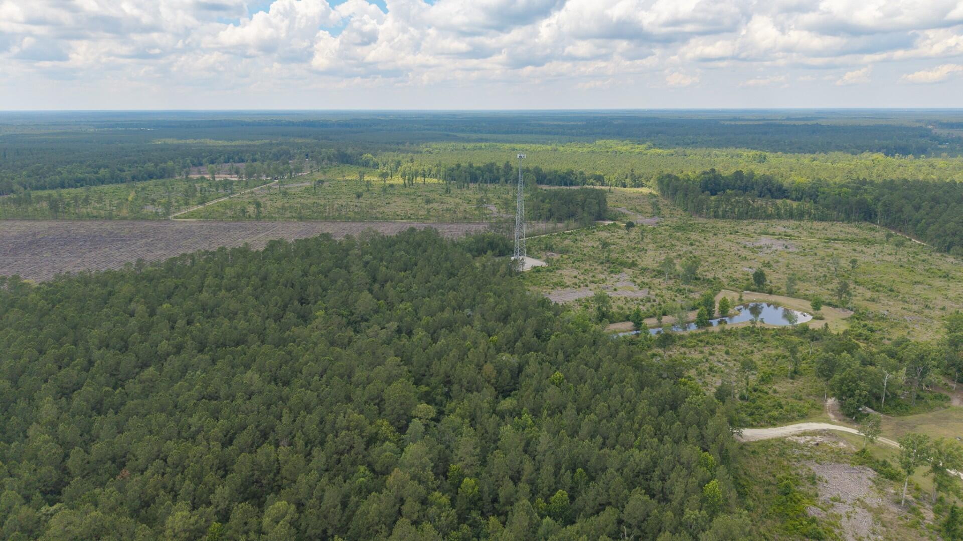 6222 Saints Delight Road, Unit LOT 8 Georgetown, SC 29440 - Photo 9 of 26